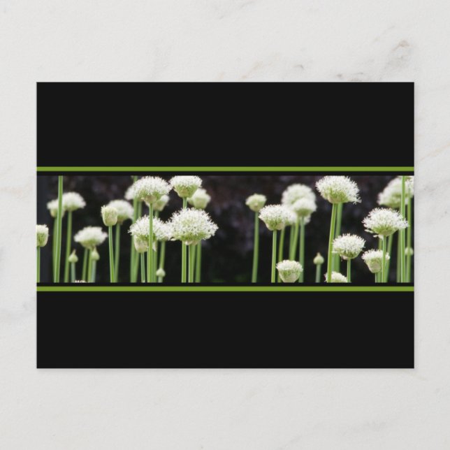 Unique Enregistrer Les Cartes Postales Date (Devant)