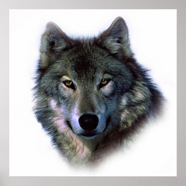 Unique Wolf Art Motivational Freedom Poster (Devant)
