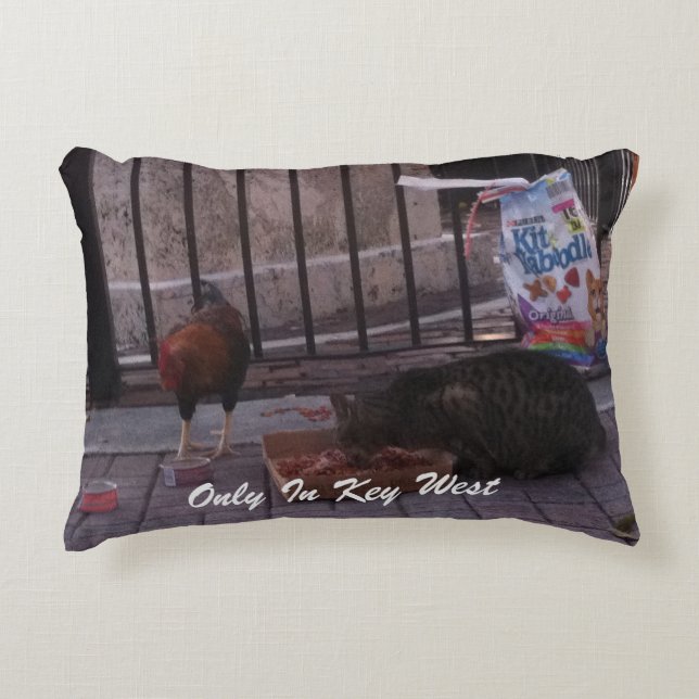 "Uniquement dans Key West" Chat et Coussin de coq (Devant)
