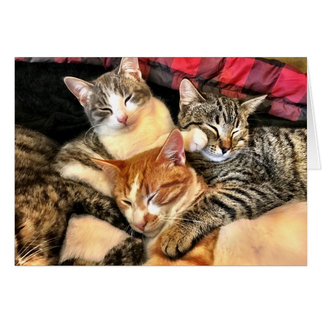 Unité (Devant horizontal)