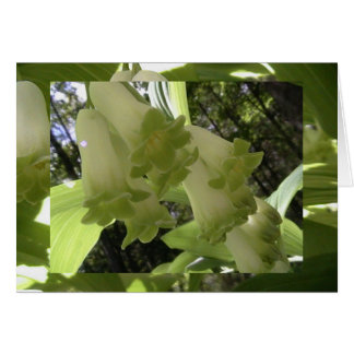 unité dans l'équilibre