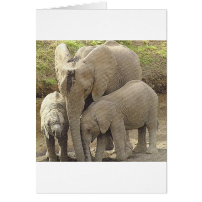 Unité familiale.jpg (Devant)