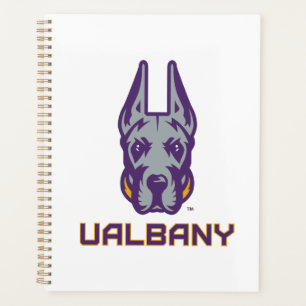 Université d'Albany Great Danes