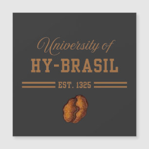 Université de Hy-Brasil, Est. 1325