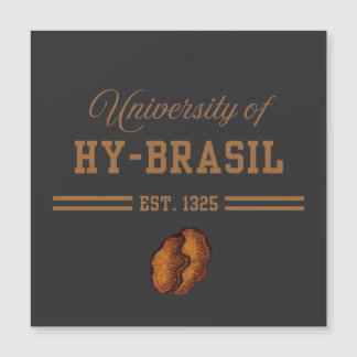 Université de Hy-Brasil, Est. 1325