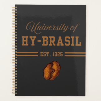 Université de Hy-Brasil, Ét. 1325