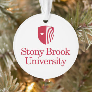 Université Stony Brook   Mot-symbole