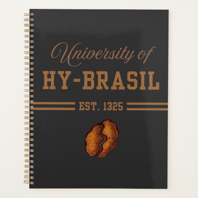 University of Hy-Brasil, Est. 1325 (Devant)