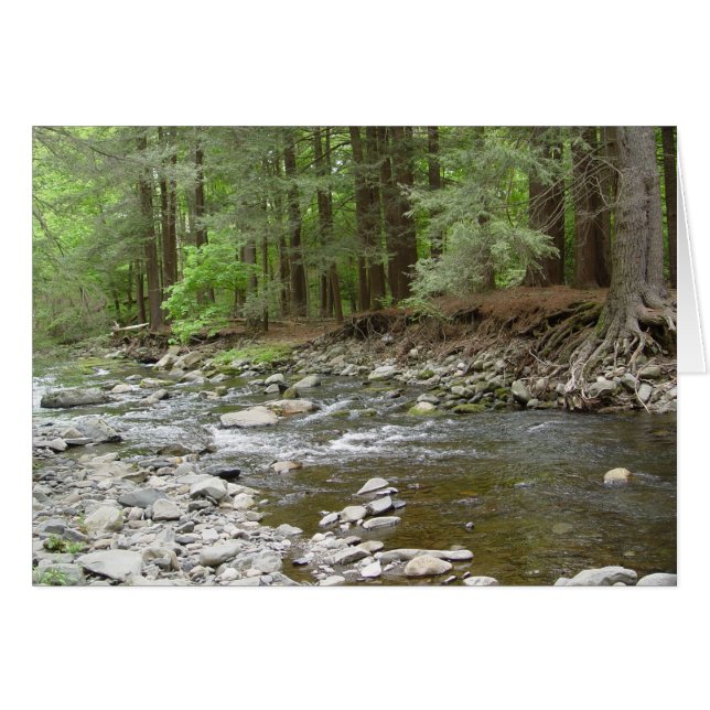 Upper Raymondskill Falls (Devant Horizontal)