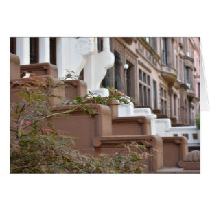 Upper West Side Browns New York City NYC