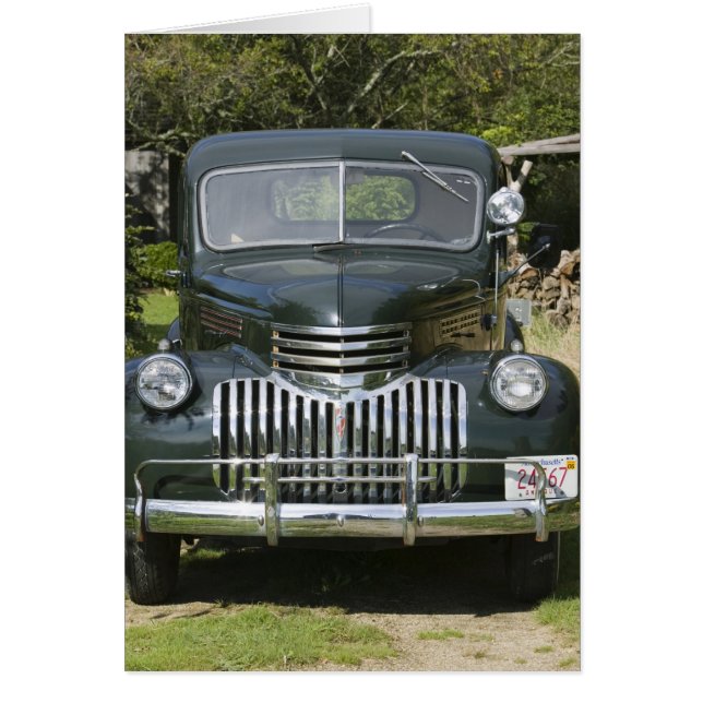 USA, MASSACHUSETTS, Vignoble de Martha : Ouest 4 (Devant)