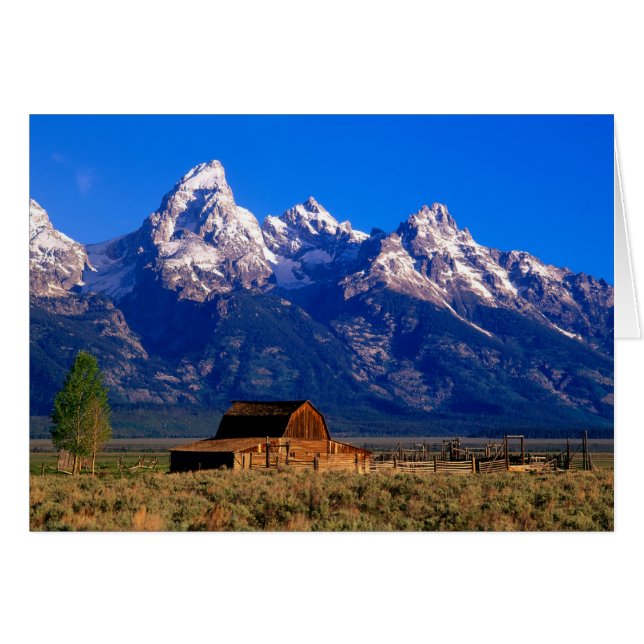 USA, Wyoming, Grand Teton National Park, Matin (Devant horizontal)