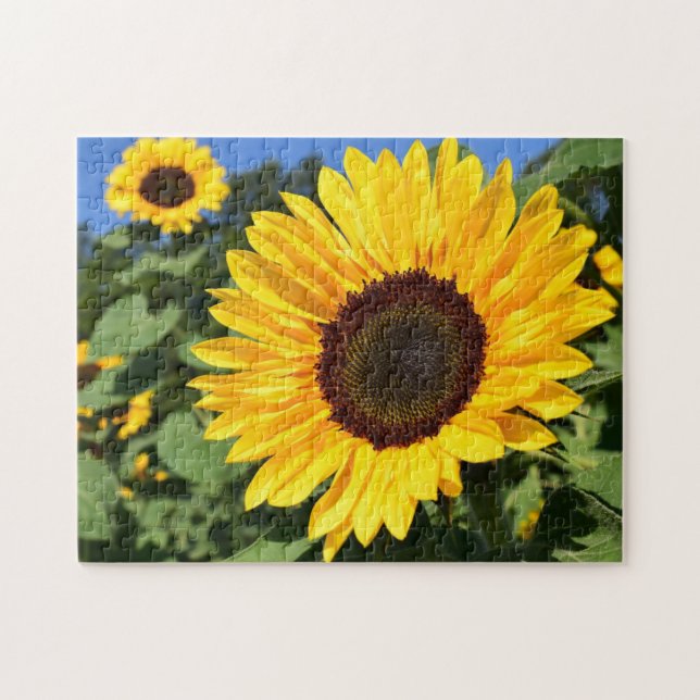 Usine de puzzle Songbirds Tournesol, Sap (Horizontal)