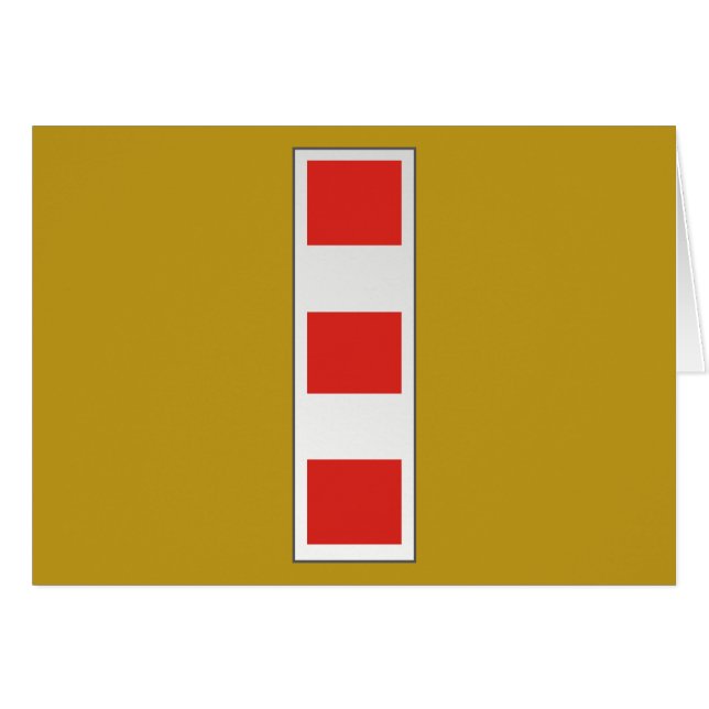 USMC CWO4 Chef de distorsion 4 W-4 (Devant horizontal)