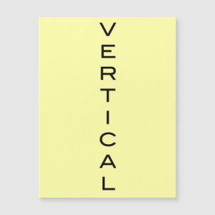 V CARTE MAGNÉTIQUE