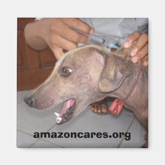 Va Bien Bientôt ! Magnet