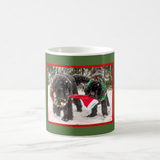 Vacances de Newfie partageant une tasse de joie