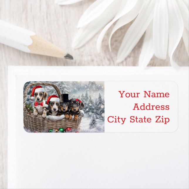 Vacances de Noël Retour Étiquette Chiots Dachshund (En situation)