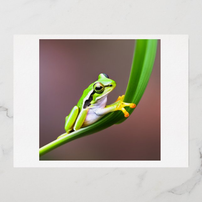 Vacances En Aluminium carte postale de grenouille sur feuille (Recto)
