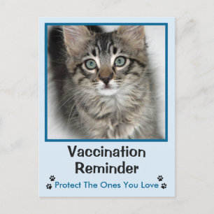 Vaccination vétérinaire Carte postale Kitten bleu