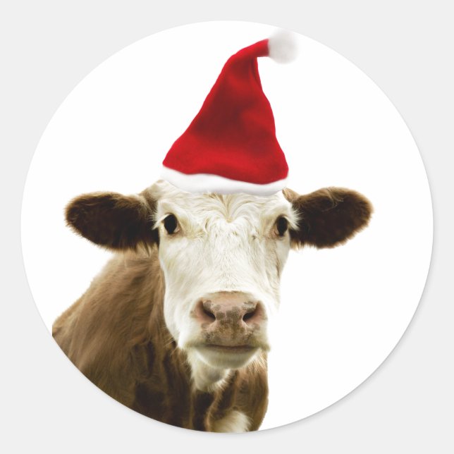 VACHE AVEC chapeau de Père Noël AUTOUR Sticker PER (Devant)