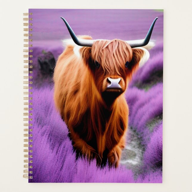 Vache belle Highland dans le champ Lavender (Devant)