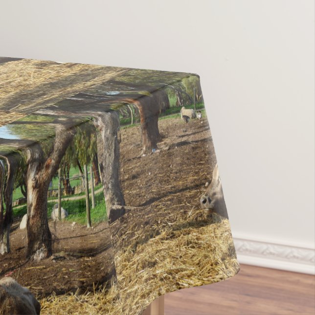 Vache C'Est Une Vie Agricole, Nappe (In Situ)