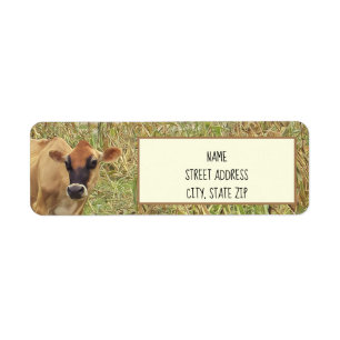 Vache dans un Cornfield Étiquettes de adresse