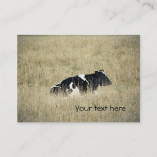 Vache de repos - Carte de visite