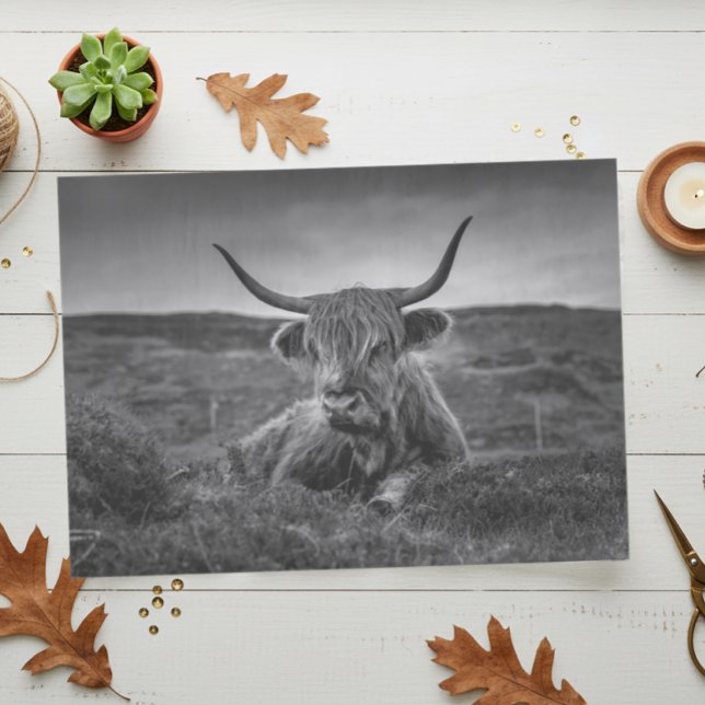 Vache des Highlands Écosse Rustique Papier de soie (Créateur téléchargé)