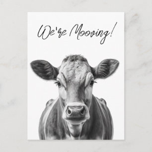 Vache drôle Nous déménageons Faire-part