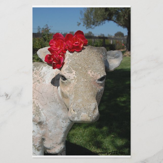 Vache du sud (Devant)