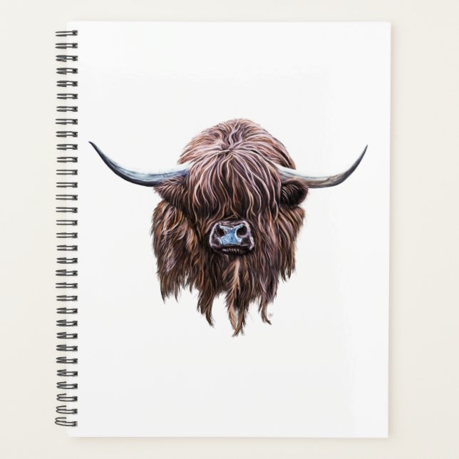 Vache écossaise des Highlands en couleur (Devant)