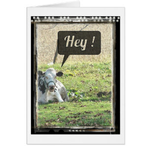 Vache Laitière Hé !