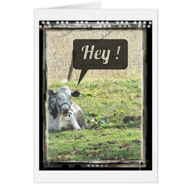 Vache Laitière Hé ! (Devant)