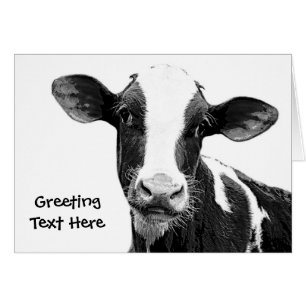 Vache laitière - veau noir et blanc de laiterie