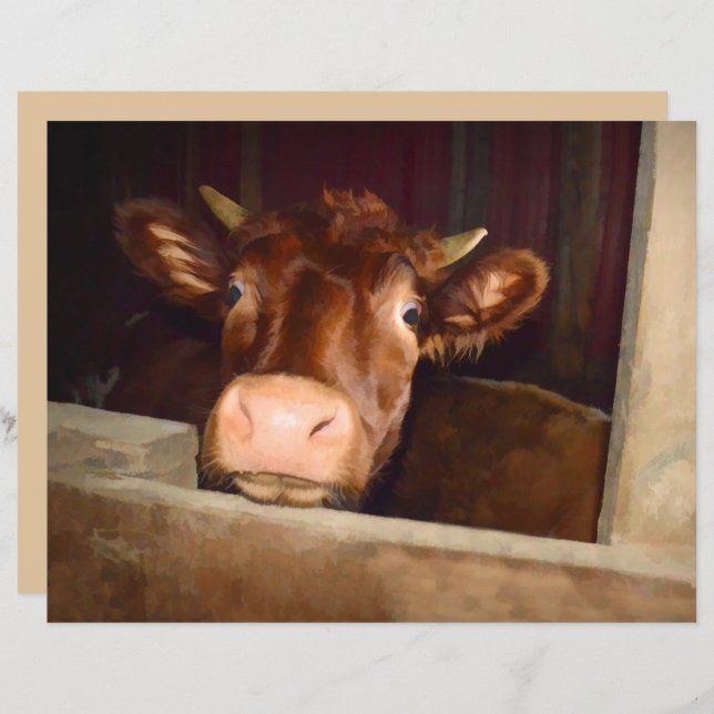 Vache Rustique Pays Brown Grange Funny Farm (Devant / Derrière)