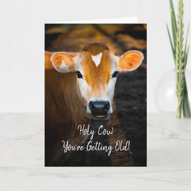 Vache Sacrée Tu Vieillis Carte d'Anniversaire – Dr (Devant)