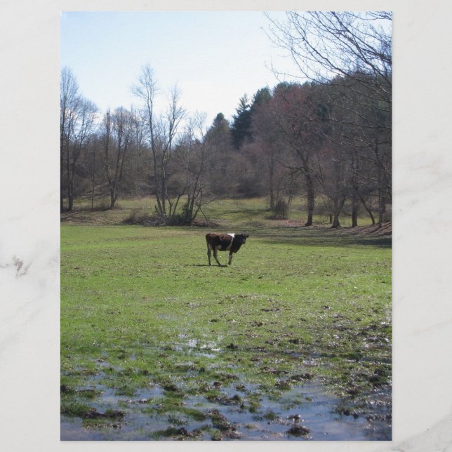 Vache solitaire (Devant)