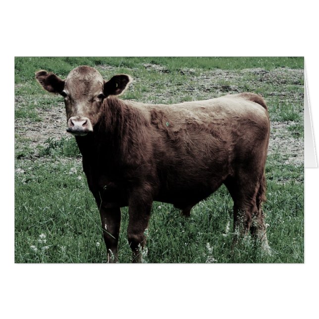 Vache solitaire (Devant horizontal)
