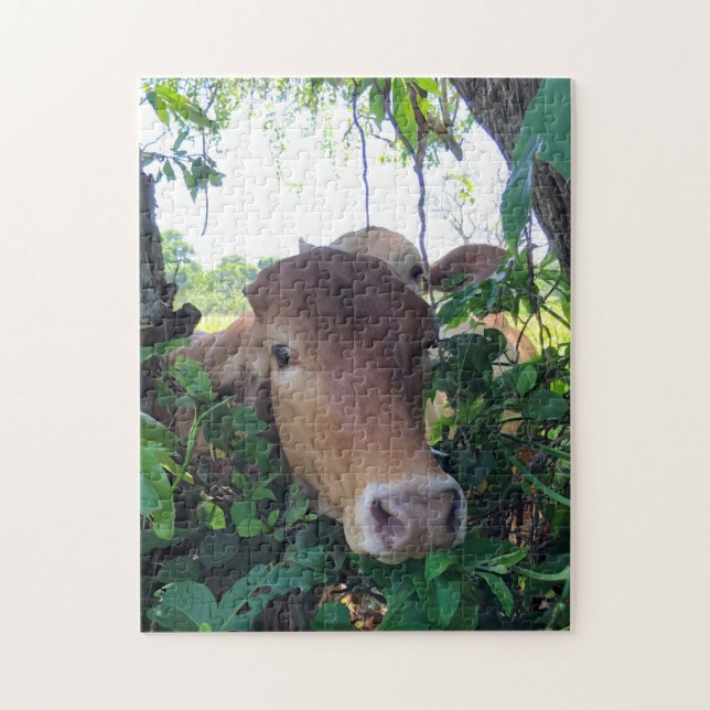 Vaches amicales Puzzle 11x14" (Vertical)