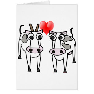 Vaches dans l'amour