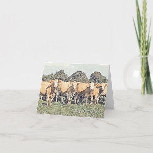 Vaches dans une rangée - Carte de voeux vierge