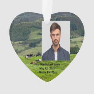 Vaches de la ferme de bétail vaches de la ferme Ph