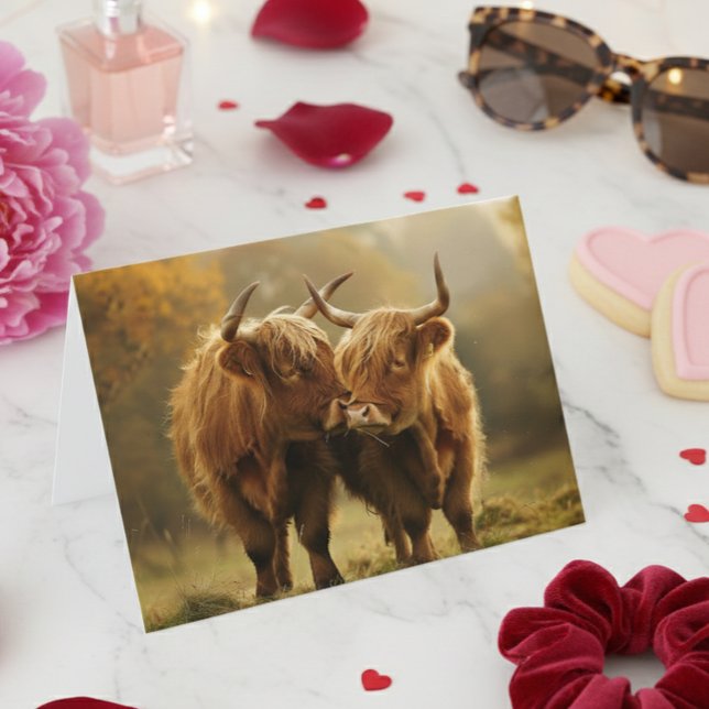 Vaches des Highlands amoureuses Carte postale (Créateur téléchargé)