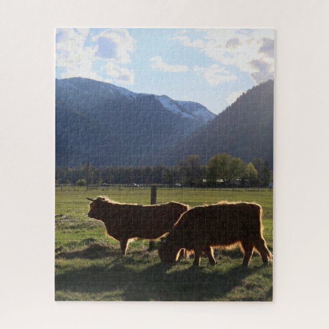 Vaches des Highlands dans le Montana Puzzle (Vertical)
