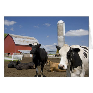Vaches devant une grange rouge et un silo dans une