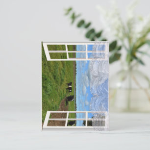 Vaches galloway à travers une fenêtre, carte posta