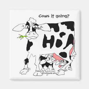 Vaches il allant ? Aimant carré de réfrigérateu