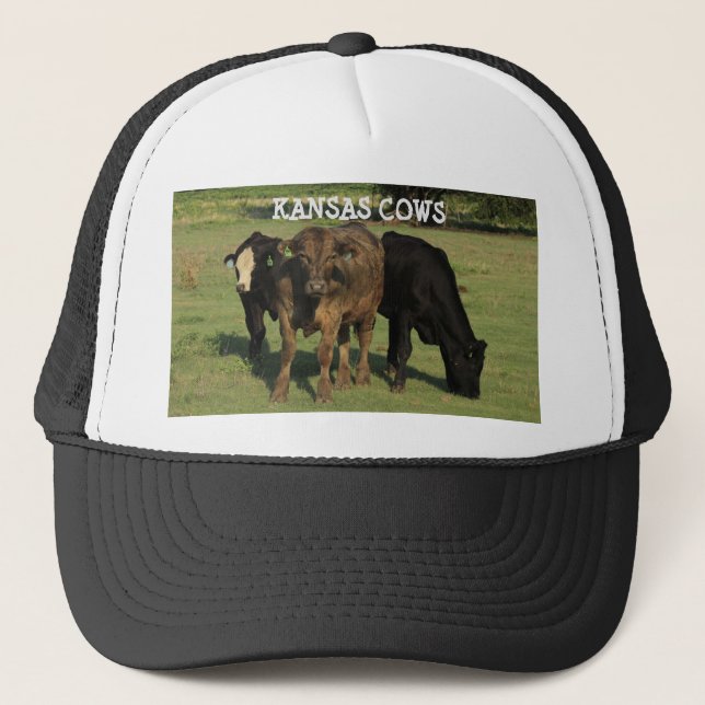 Vaches Kansas dans un pâturage vert Casquette de c (Devant)